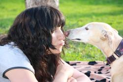 1A-Hundetraining Zuneigung