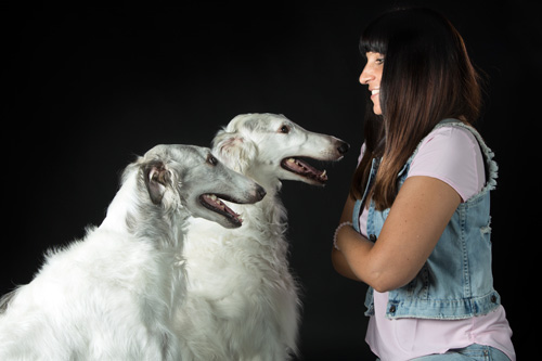 1A-Hundetraining Dana Galgo